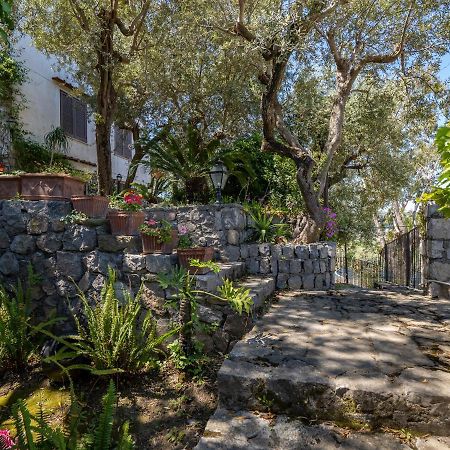 Ulivi Apt Villa Sorrento Exterior photo